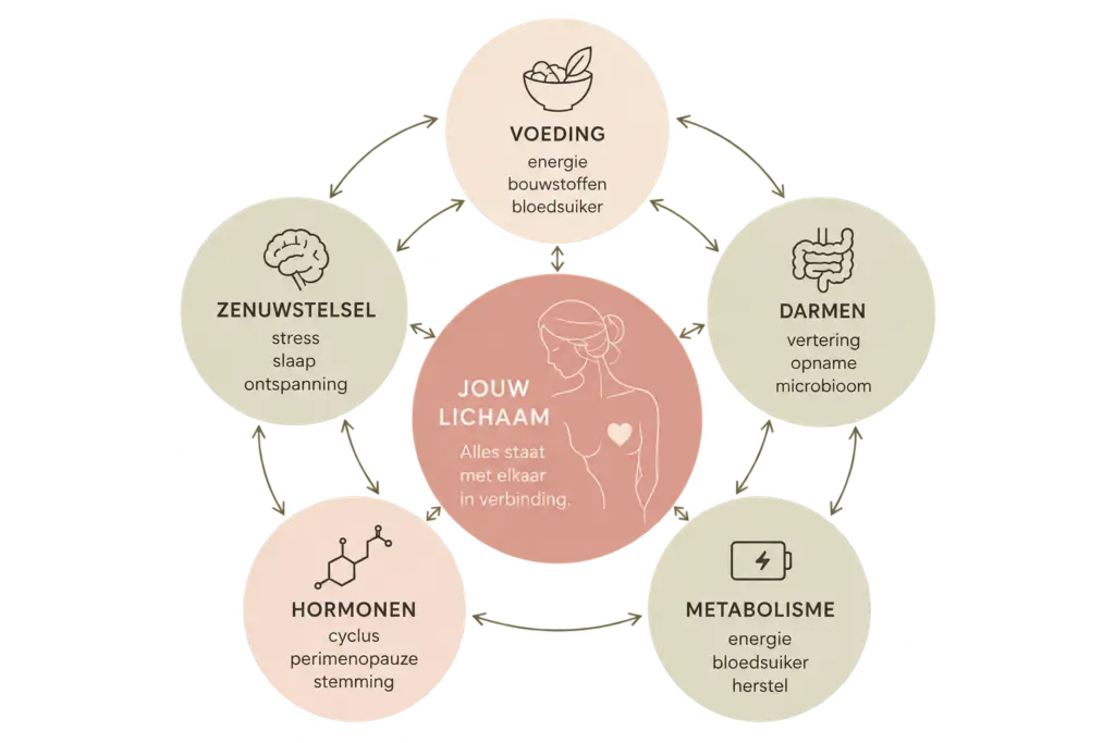 Schema van de samenhang tussen voeding, darmen, hormonen, metabolisme en zenuwstelsel binnen orthomoleculaire therapie.